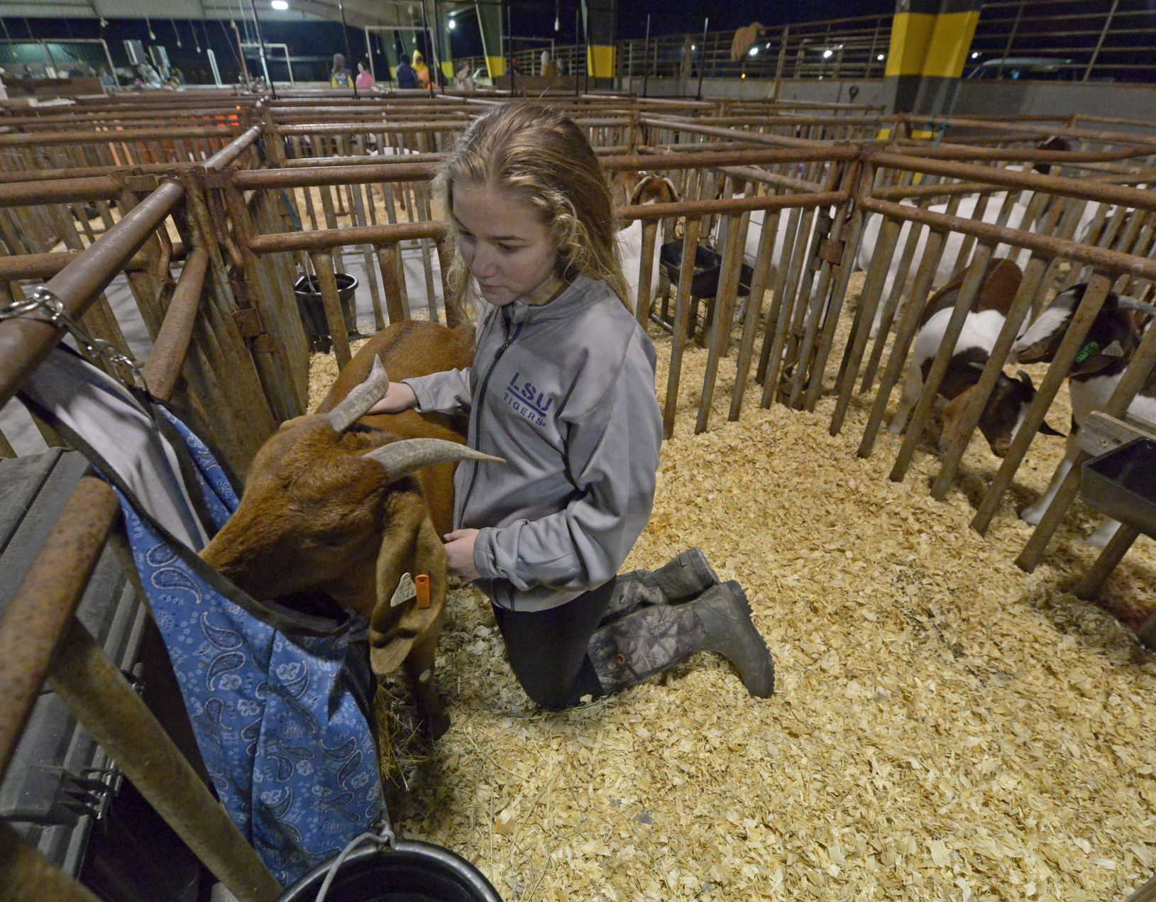 rodeoasc.011818 HS 499.JPG